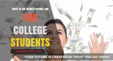 Lucrative Careers for College Students: Top Picks