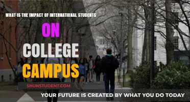 International Students: Transforming College Campuses