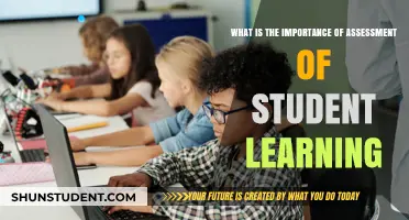 Unlocking Potential: The Power of Student Learning Assessment