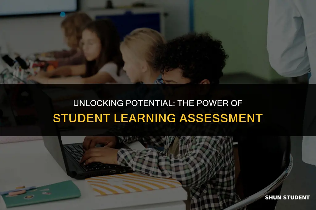 what is the importance of assessment of student learning