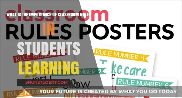 Classroom Rules: The Foundation of Effective Student Learning