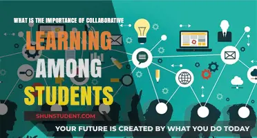 Unleashing Potential: The Power of Collaborative Learning Among Students