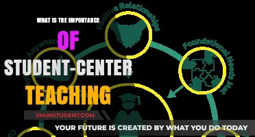 Empowering Learners: The Impact of Student-Centered Teaching Strategies