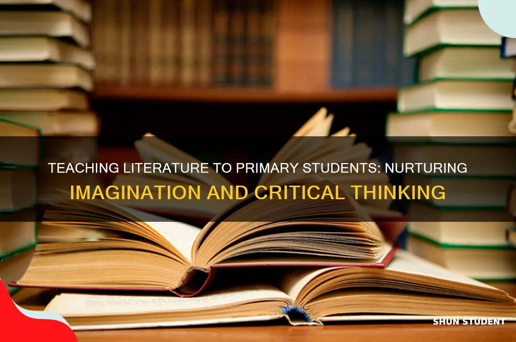 what is the importance of teaching literature in primary students