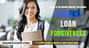 Understanding Obama Student Loan Forgiveness Income Eligibility Criteria