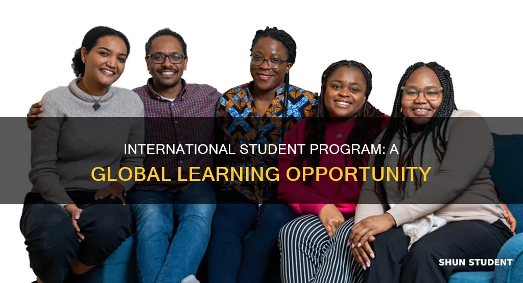 what is the international student program