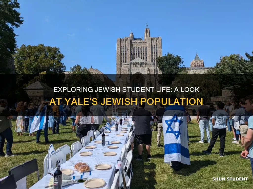 what is the jewish student population at yale university