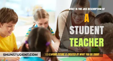 Exploring the Role and Responsibilities of a Student Teacher