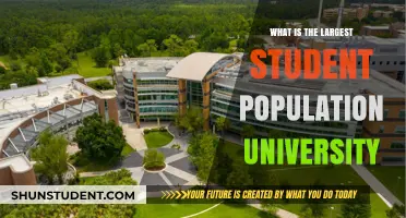 Universities with the Highest Student Enrollment