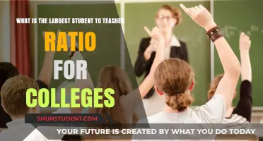 Exploring the Highest Student-to-Teacher Ratios in Colleges Nationwide