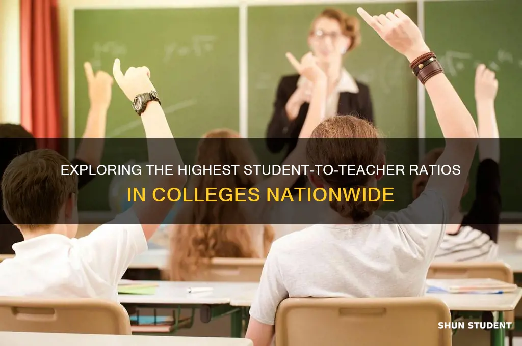 what is the largest student to teacher ratio for colleges