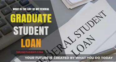 Navigating the Journey of Your Federal Graduate Student Loan