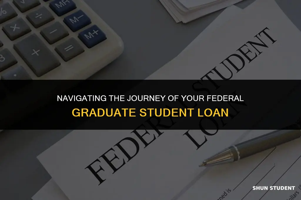 what is the life of my federal graduate student loan