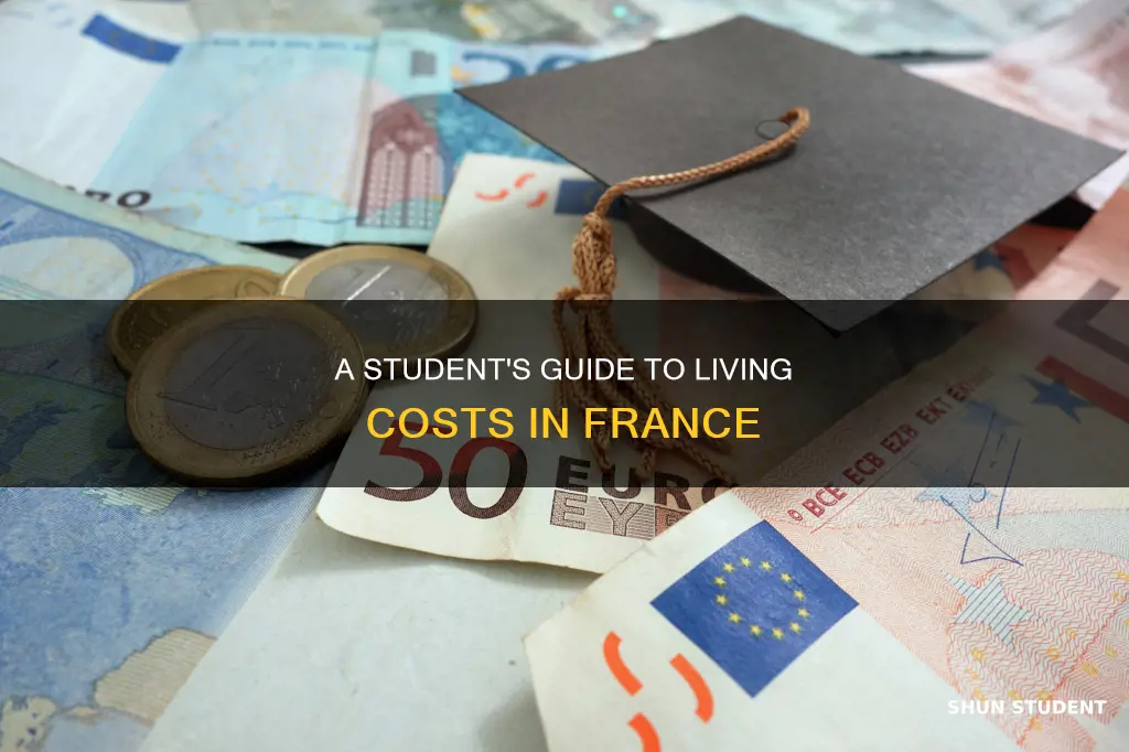 what is the living cost in france for international students