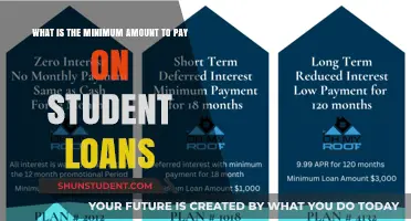 Student Loan Minimum Payments: How Much is Needed?