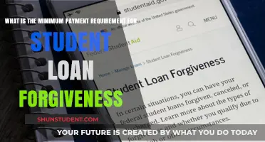 Understanding Minimum Payment Requirements for Student Loan Forgiveness Programs