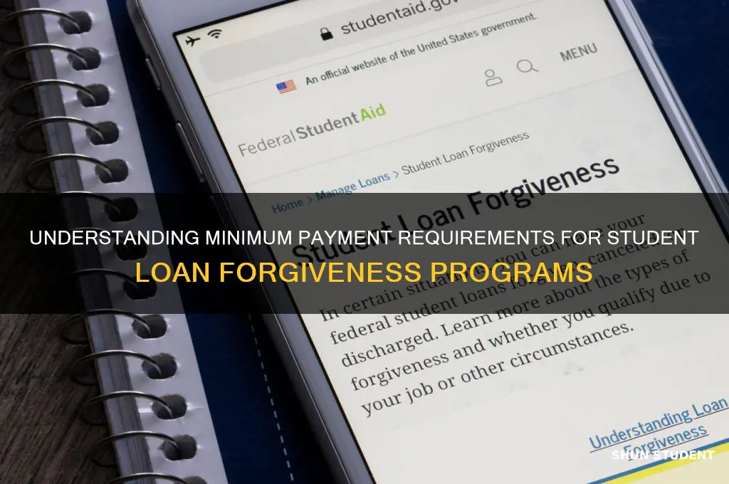 what is the minimum payment requirement for student loan forgiveness