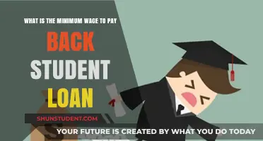 Student Loan Repayment: Minimum Wage Requirements