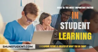 Unlocking Potential: The Key Element in Student Learning