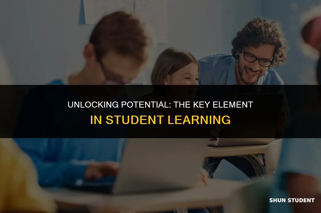 what is the most important factor in student learning