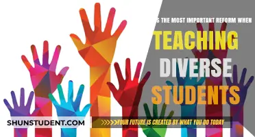 Empowering Diverse Classrooms: The Key Reform for Inclusive Education