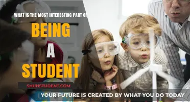 Discovering New Horizons: The Most Fascinating Aspect of Student Life