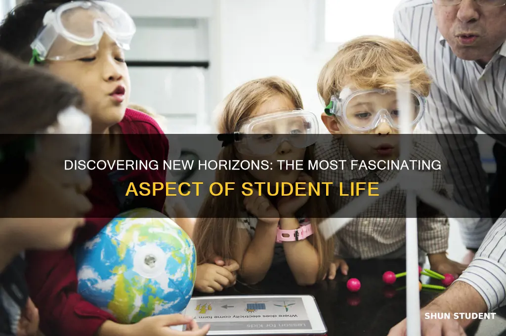what is the most interesting part of being a student