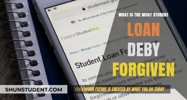 Unraveling the Largest Student Loan Debt Forgiveness Programs Available