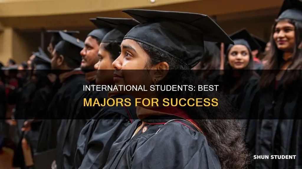 what is the most successful major for international students