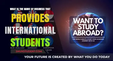 International Student Support: A Business Guide