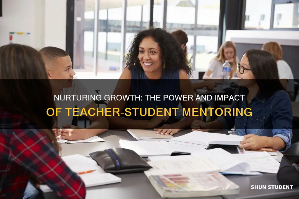 what is the nature and value of teacher-student mentoring