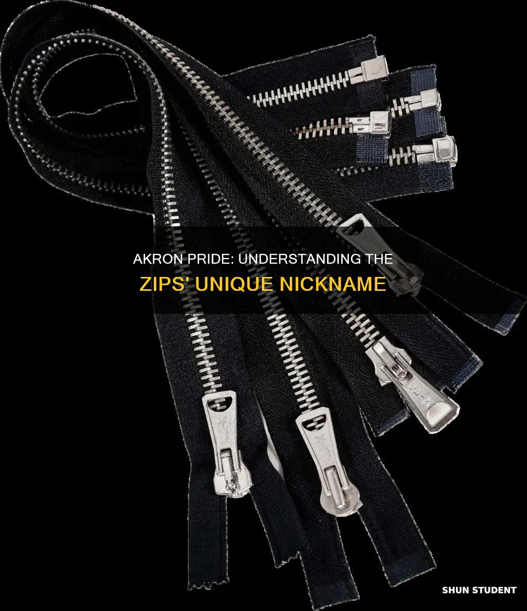 what is the nickname for the university of akron student