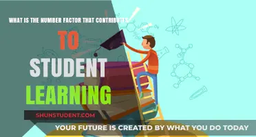 Unlocking Academic Success: The Key Factors Driving Student Learning