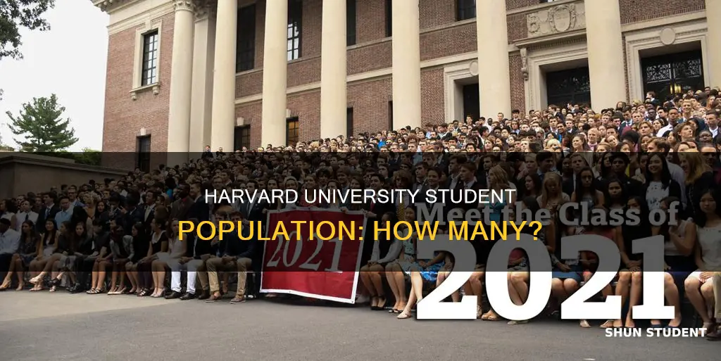 what is the number of students at harvard university