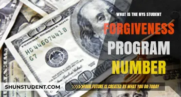 Understanding the NYS Student Loan Forgiveness Program Contact Number