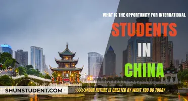 International Students: China's Opportunities and Challenges