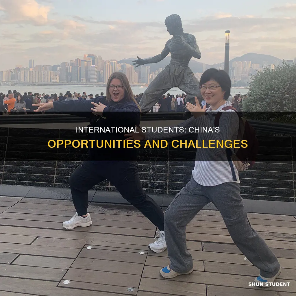 what is the opportunity for international students in china