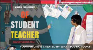 Exploring the Dynamic: What's the Opposite of Student-Teacher Relationship?