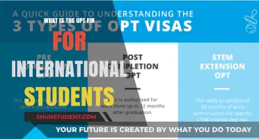 International Students: OPT for Your Future