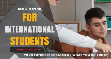 International Students: Optimal Visa Fine Guide