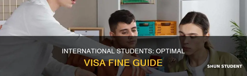 what is the opt fine for international students