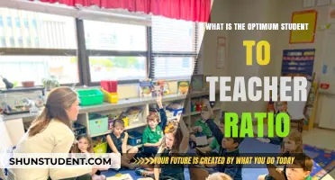 Optimal Student-Teacher Ratios: Enhancing Learning and Classroom Success