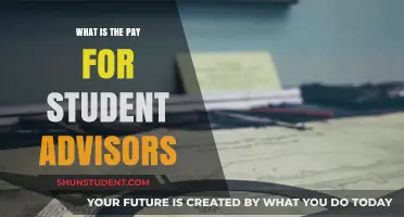 Lucrative Student Advisor Roles: Salary Insights
