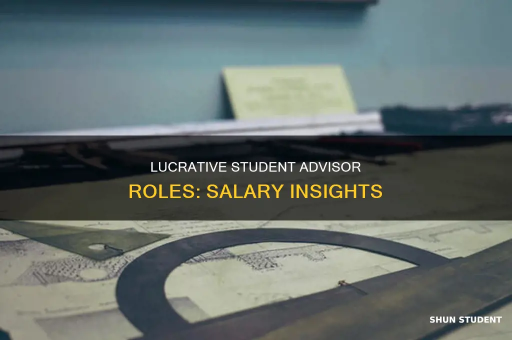what is the pay for student advisors
