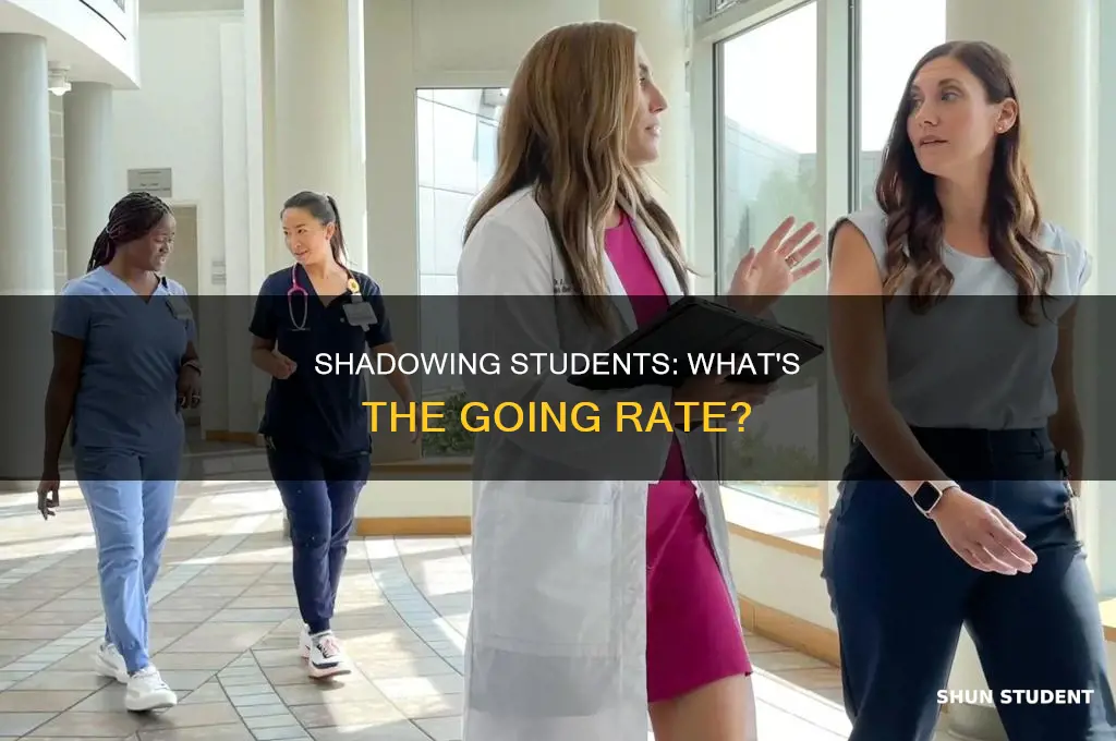 what is the pay rate to shadow a student