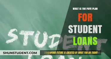 Understanding the PAYE Plan: Student Loan Repayment