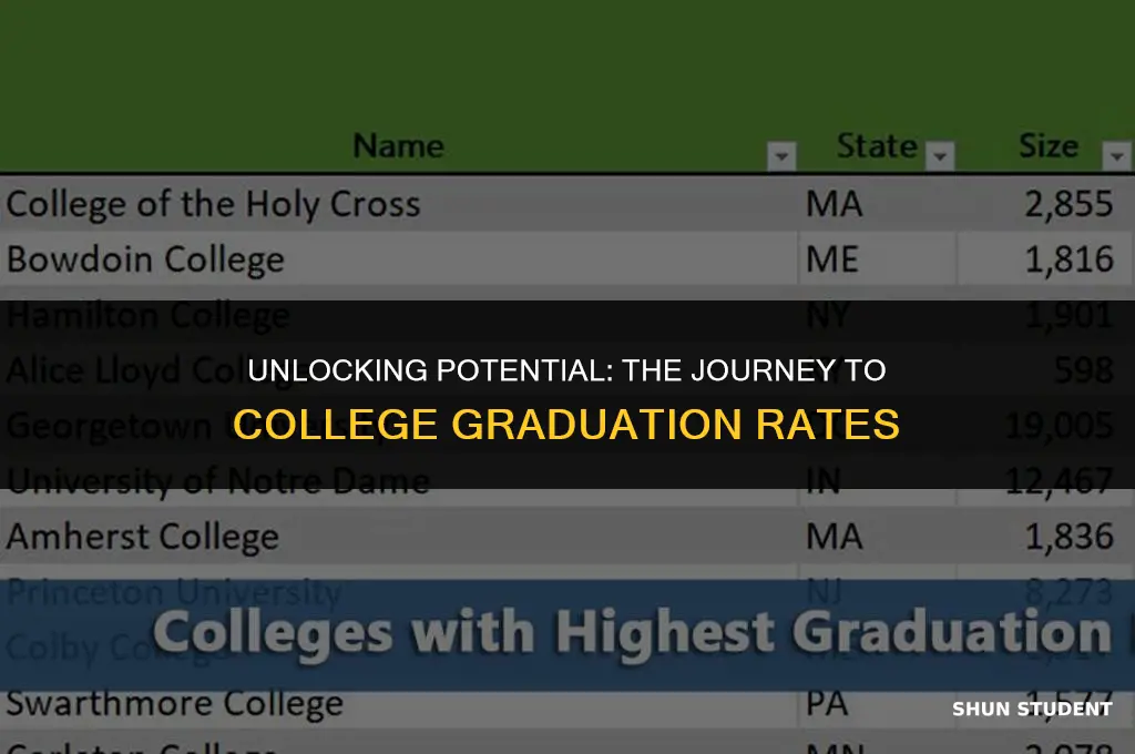 what is the percentage of students that graduate from college