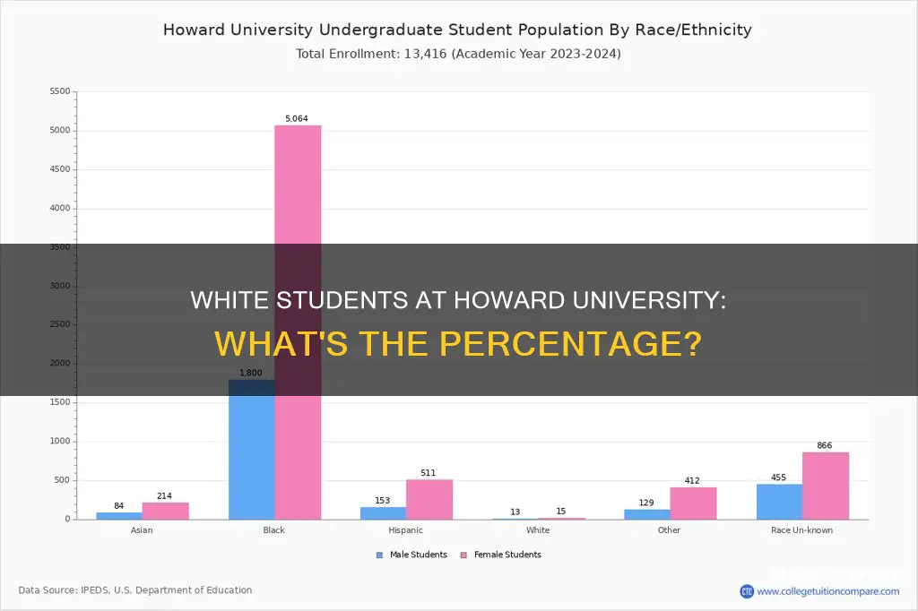 what is the percentage of white students at howard university