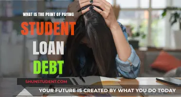 Student Loan Debt: Is It Worth the Investment?