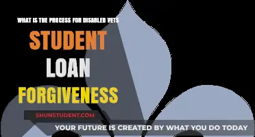 Disabled Veterans: Unlocking Student Loan Forgiveness Benefits and Process